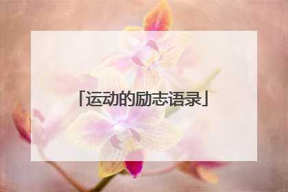 运动的励志语录