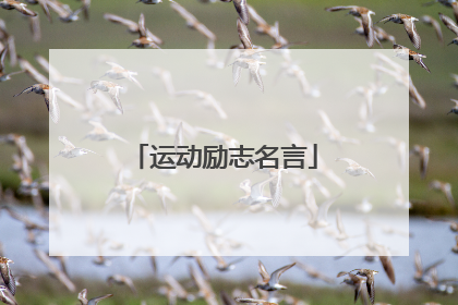 运动励志名言