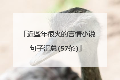 近些年很火的言情小说句子汇总(57条)