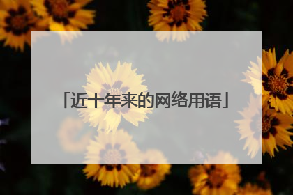 近十年来的网络用语