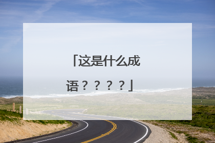 这是什么成语????