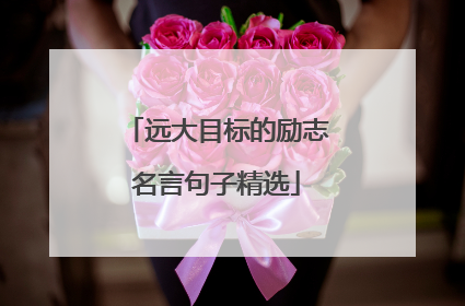远大目标的励志名言句子精选