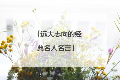 远大志向的经典名人名言