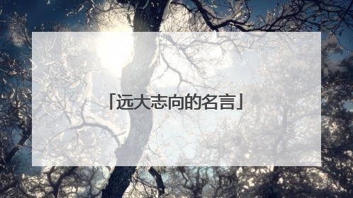 远大志向的名言