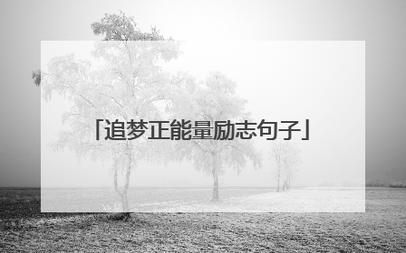 追梦正能量励志句子