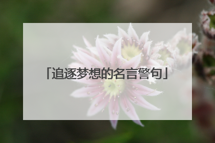 追逐梦想的名言警句