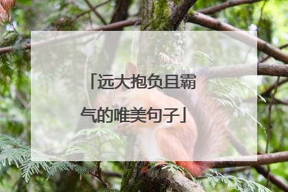 远大抱负且霸气的唯美句子