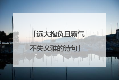 远大抱负且霸气不失文雅的诗句