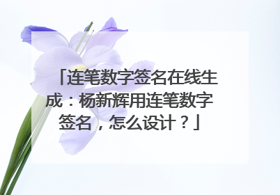 连笔数字签名在线生成:杨新辉用连笔数字签名,怎么设计?