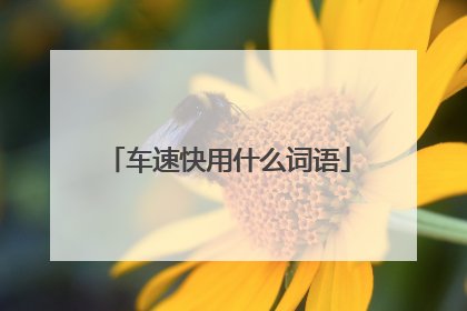 车速快用什么词语