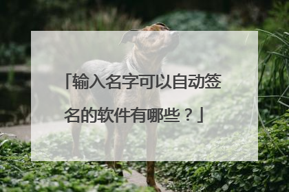 输入名字可以自动签名的软件有哪些?