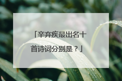 辛弃疾最出名十首诗词分别是?