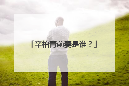 辛柏青前妻是谁?