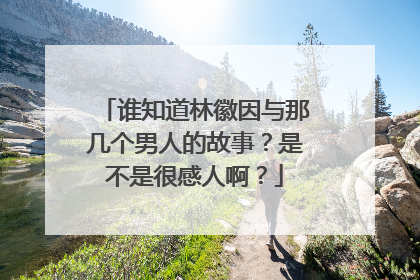 谁知道林徽因与那几个男人的故事?是不是很感人啊?