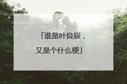 谁是叶良辰,又是个什么梗