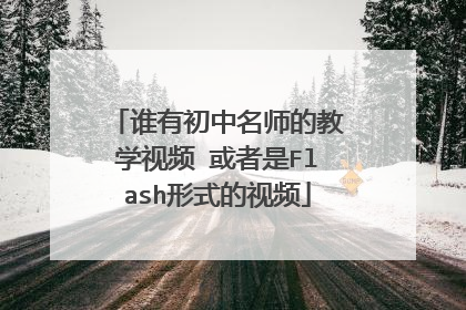 谁有初中名师的教学视频 或者是Flash形式的视频