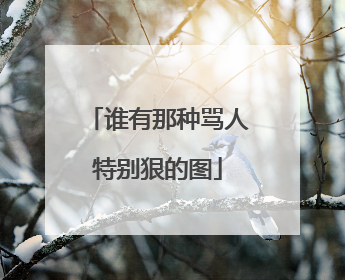 谁有那种骂人特别狠的图