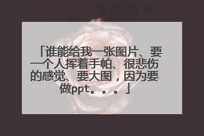 谁能给我一张图片、要一个人挥着手帕、很悲伤的感觉、要大图,因为要做ppt。。。