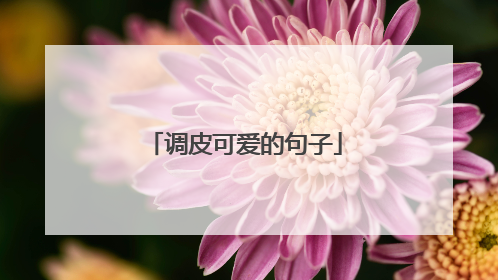 调皮可爱的句子