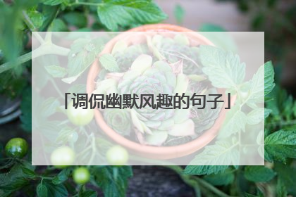 调侃幽默风趣的句子