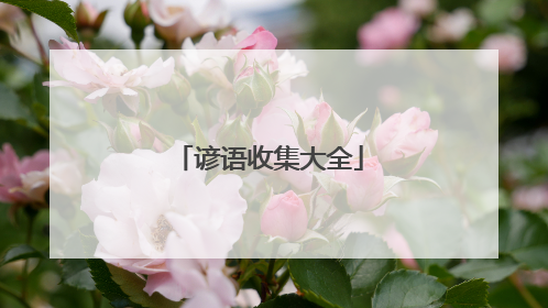 谚语收集大全
