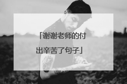谢谢老师的付出辛苦了句子