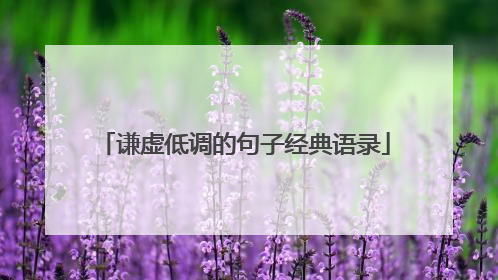 谦虚低调的句子经典语录