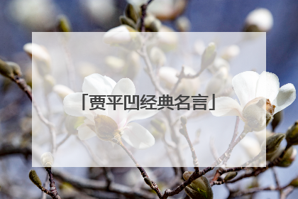 贾平凹经典名言