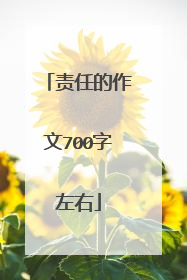 责任的作文700字左右