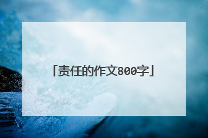 责任的作文800字
