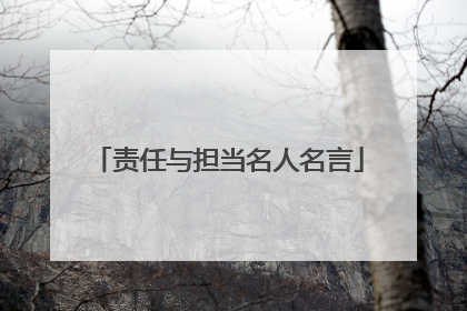 责任与担当名人名言