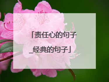 责任心的句子_经典的句子