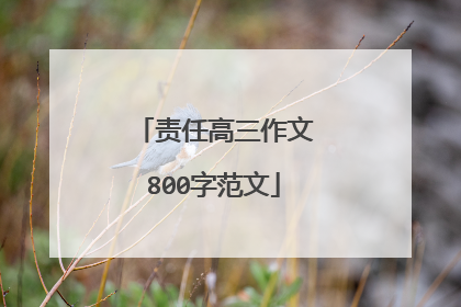 责任高三作文800字范文
