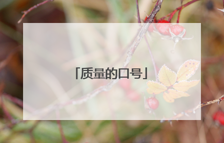 质量的口号