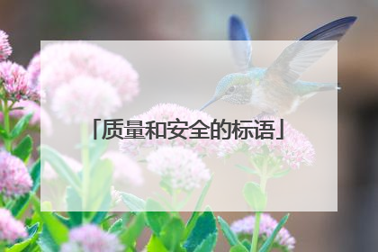 质量和安全的标语