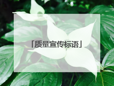 质量宣传标语