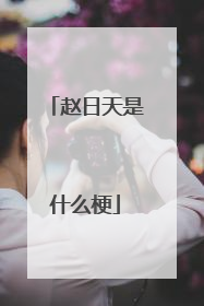 赵日天是什么梗