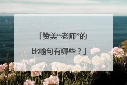 赞美“老师”的比喻句有哪些?