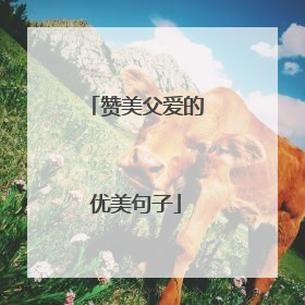赞美父爱的优美句子