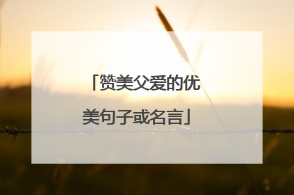 赞美父爱的优美句子或名言