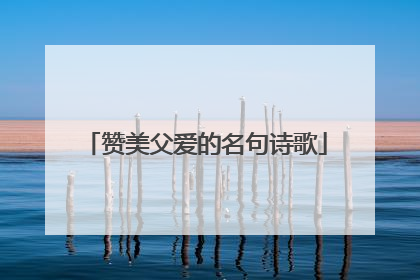 赞美父爱的名句诗歌