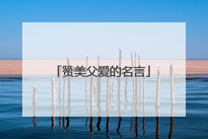 赞美父爱的名言