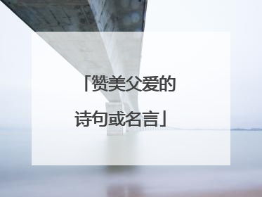 赞美父爱的诗句或名言