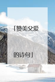 赞美父爱的诗句