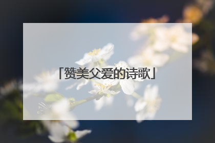 赞美父爱的诗歌