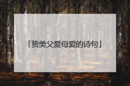 赞美父爱母爱的诗句