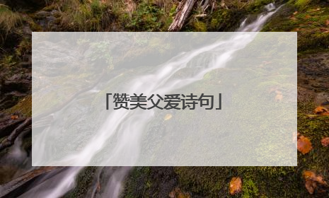 赞美父爱诗句