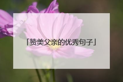 赞美父亲的优秀句子