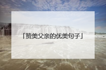 赞美父亲的优美句子