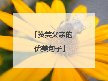 赞美父亲的优美句子